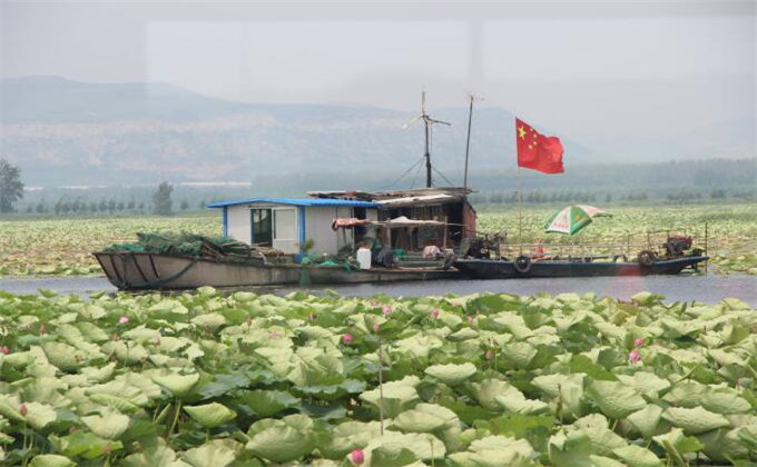枣庄微山湖红荷湿地自助游多少钱