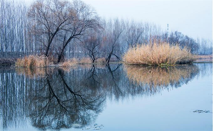 枣庄微山湖红荷湿地两日游攻略