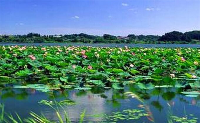 枣庄微山湖红荷湿地2日游攻略