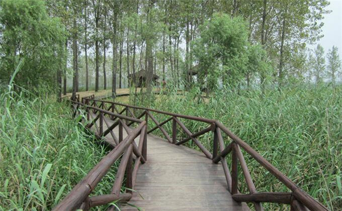 枣庄微山湖红荷湿地自由行价格多少钱