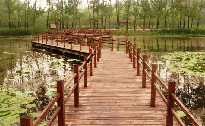 枣庄微山湖红荷湿地自助游