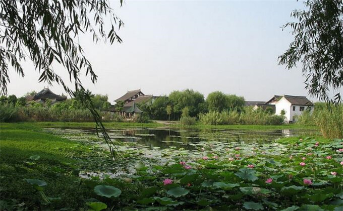 枣庄微山湖红荷湿地自助游
