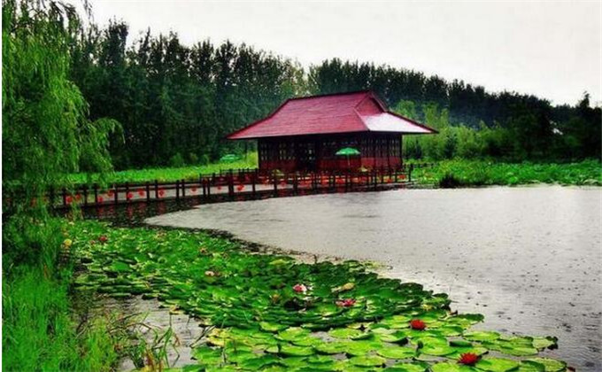 山东枣庄微山湖湿地景区游览图