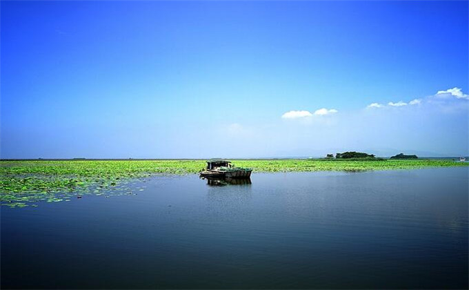 枣庄微山湖湿地景区游览路线