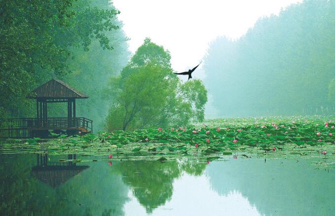 暑假亲子游-微山湖湿地周边景点仙坛山温泉小镇