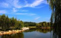 滕州微山湖湿地公园旅游特产有哪些？