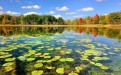 微山湖湿地公园秋冬季门票便宜吗？