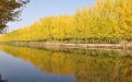 2019滕州微山湖红河湿地旅游优惠门票怎么买？