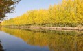 暑假亲子游-微山湖湿地旅游景点之百荷诗廊