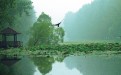 夏季自驾游-微山湖湿地周边景点滕州盈泰温泉度假村